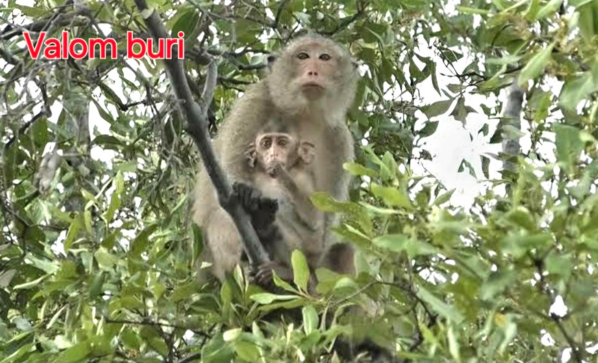 Lanta Valom Buri Villa Koh Lanta Ngoại thất bức ảnh